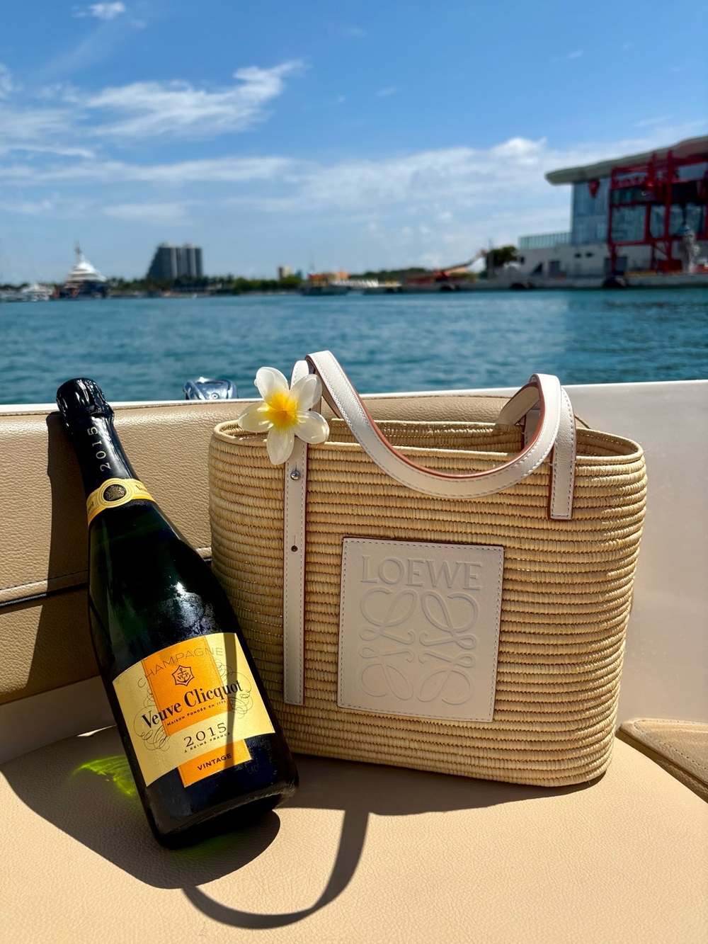 Loewe Small Square Basket Bag in Raffia & White Leather